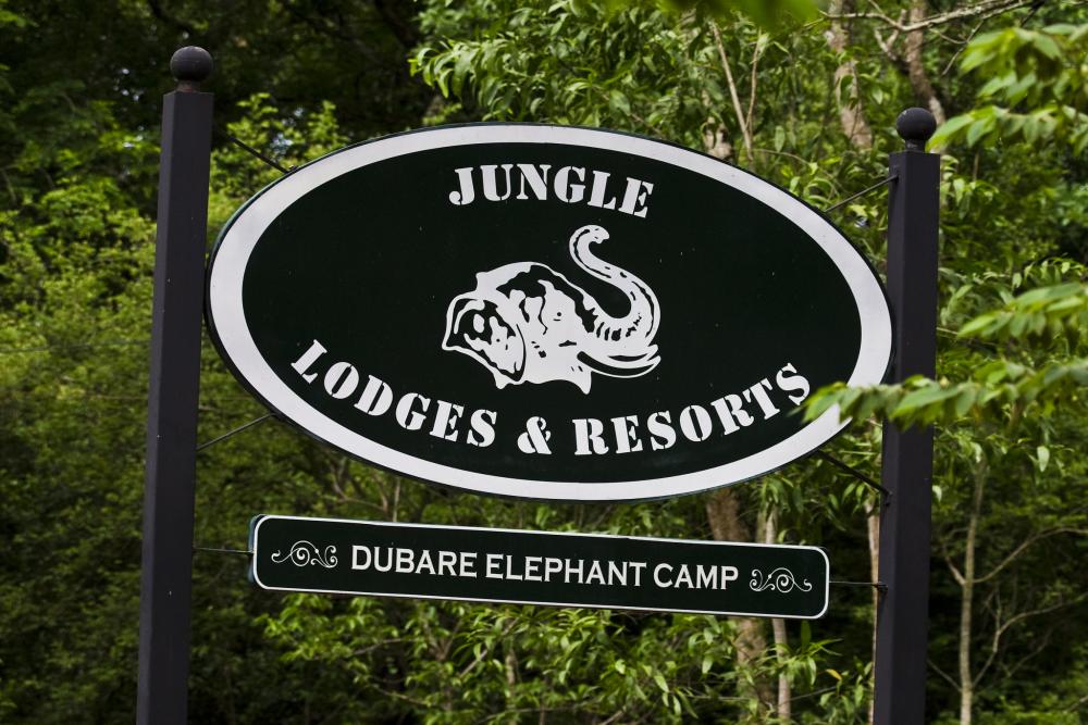 Dubare Elephant Camp (6).jpg